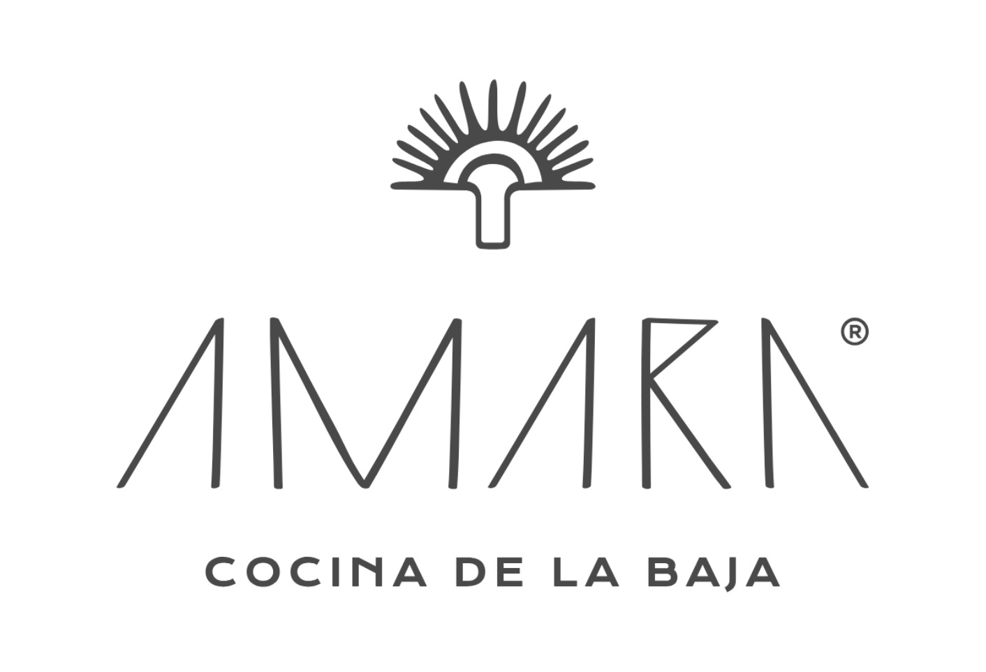 AMARA BAJA